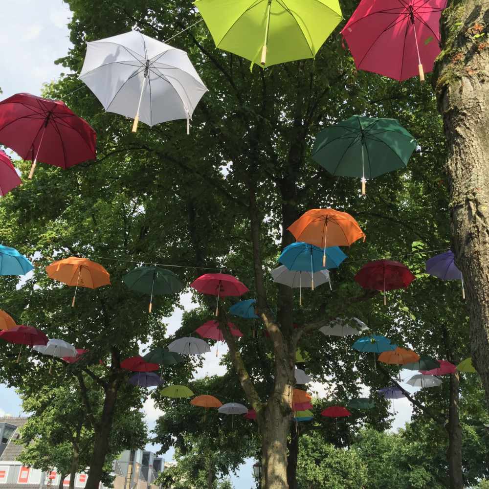 Hangende paraplu's aan bomen (kunstwerk op de Brink in Baarn)